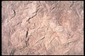 751040 Silver Moon A4 Photo Print