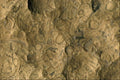 751054 Fossil Matrix, Mali, Africa A4 Photo Print