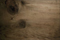 751058 Knot In Wood A4 Photo Print