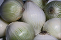 751061 Onions A4 Photo Print
