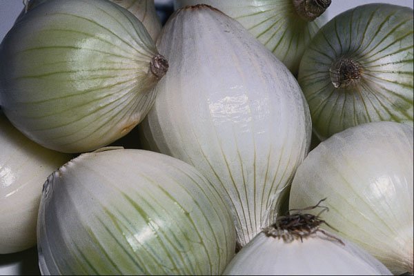 751061 Onions A4 Photo Print