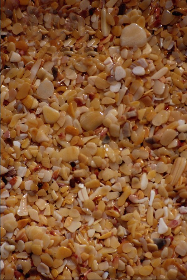 751063 Pebbles A4 Photo Print
