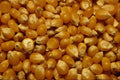 751072 Popping Corn A4 Photo Print