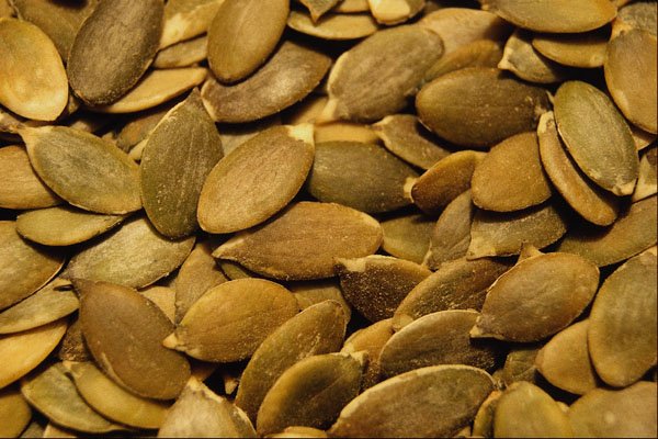 751074 Pumpkin Seeds A4 Photo Print