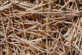 751079 Toothpicks A4 Photo Print