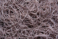 751092 Rubber Bands A4 Photo Print