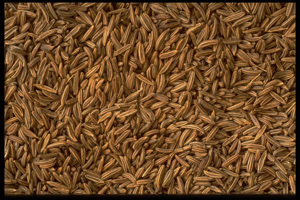 751095 Seeds A4 Photo Print
