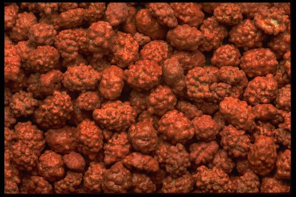 751096 Candy Popcorn A4 Photo Print