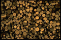 751097 Log Cord A4 Photo Print