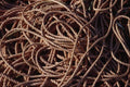 752011 Ropes A4 Photo Print
