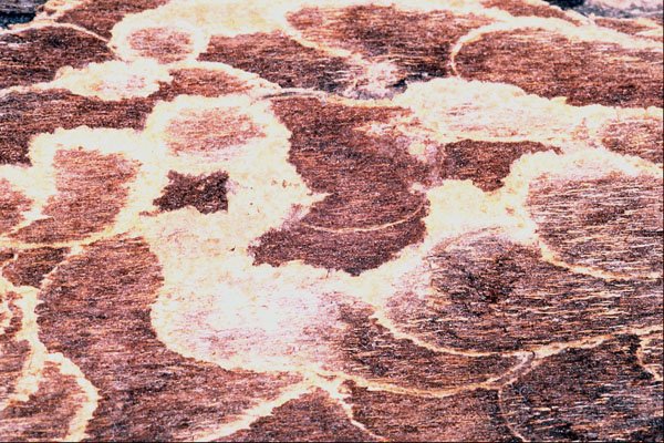 752017 Driftwood Pattern, Macro A4 Photo Print