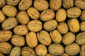 752021 Nutty Background A4 Photo Print
