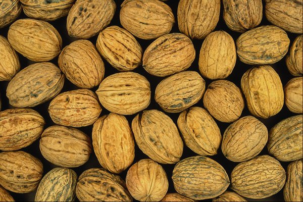 752021 Nutty Background A4 Photo Print