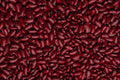 752029 Kidney Beans A4 Photo Print