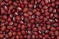 752032 Adzuki Beans A4 Photo Print