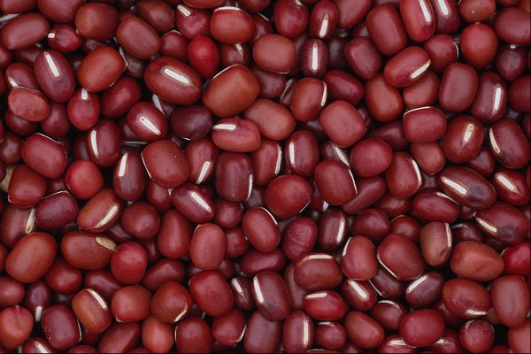 752032 Adzuki Beans A4 Photo Print