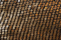 752033 Sequined Dress A4 Photo Print