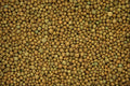752034 Fertilizer Granules A4 Photo Print