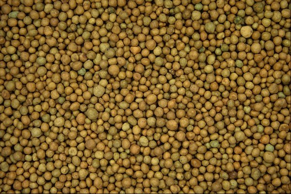 752034 Fertilizer Granules A4 Photo Print