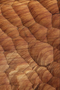 752038 Lines Carved In Pale Brown Wood A4 Photo Print