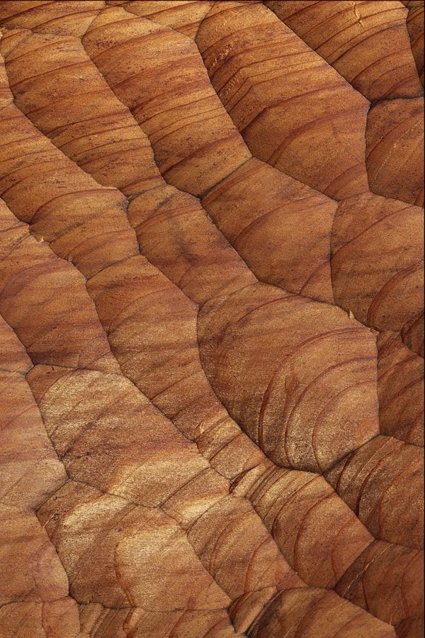 752038 Lines Carved In Pale Brown Wood A4 Photo Print