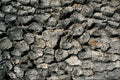 752043 Oak Bark, Indian Grinding Rock State Park, California, U.S.A. A4 Photo Print