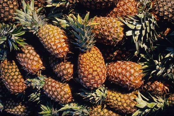752047 Pineapples, Tulum, Mexico A4 Photo Print