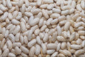752049 White Beans A4 Photo Print