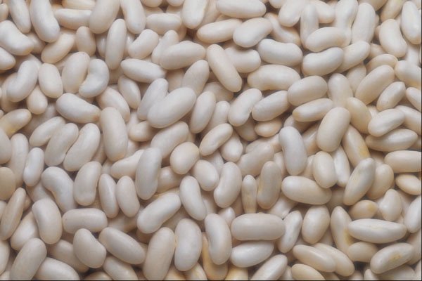 752049 White Beans A4 Photo Print