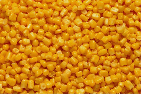 752053 Golden Corn A4 Photo Print