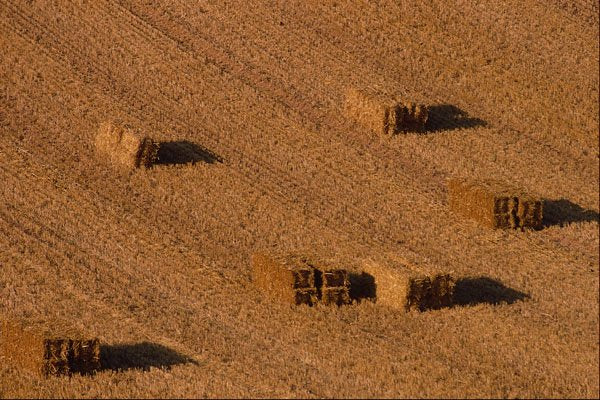 752083 Straw Bales In Field A4 Photo Print
