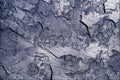 752095 Silver Moon A4 Photo Print