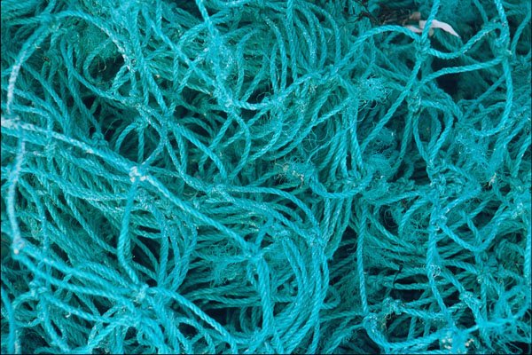 752096 Fisherman's Net A4 Photo Print