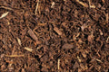 753008 Bark Trimmings A4 Photo Print