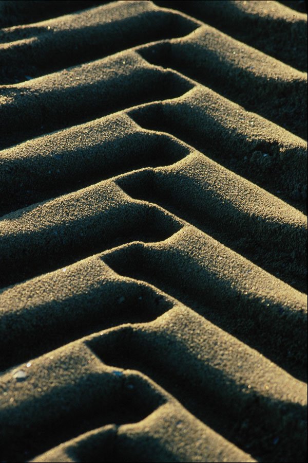 753022 Tire Tracks On Beach A4 Photo Print