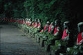 753029 Buddha, Japan A4 Photo Print