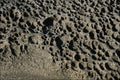 753031 Rock Formation, Gabriola Island, British Columbia, Canada A4 Photo Print