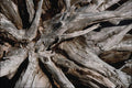 753033 Rock Formation, Gabriola Island, British Columbia, Canada A4 Photo Print
