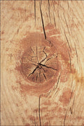 753038 American West, Knot In Weathered Wood A4 Photo Print