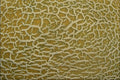 753062 Melon Skin A4 Photo Print
