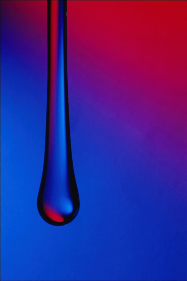754000 Hanging Glass Stick A4 Photo Print
