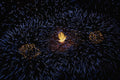 754011 Fireworks, Canada Day A4 Photo Print