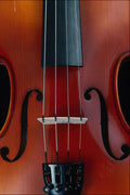 754015 Detail Of Violin And Strings A4 Photo Print