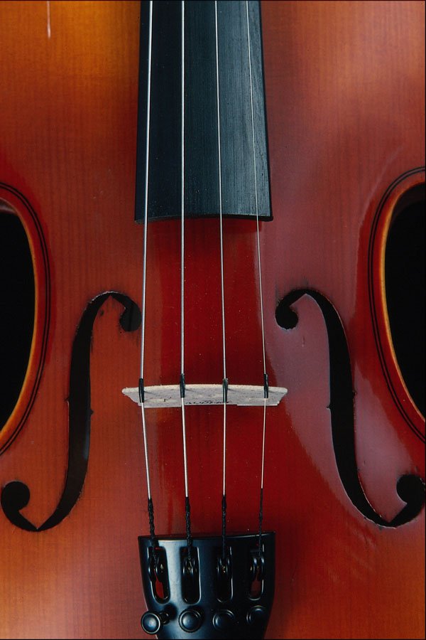754015 Detail Of Violin And Strings A4 Photo Print