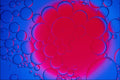 754024 Bubbles A4 Photo Print