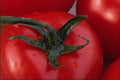 754036 Tomato A4 Photo Print