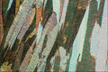 754042 Mica Schist A4 Photo Print