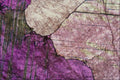 754046 Pink Marble A4 Photo Print