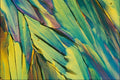 754049 Cholesterol Acetate A4 Photo Print