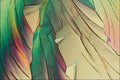 754050 Cholesterol Acetate A4 Photo Print
